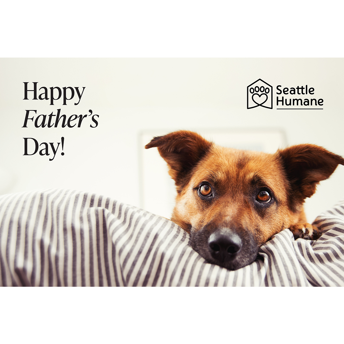 Happy Father's Day e-card