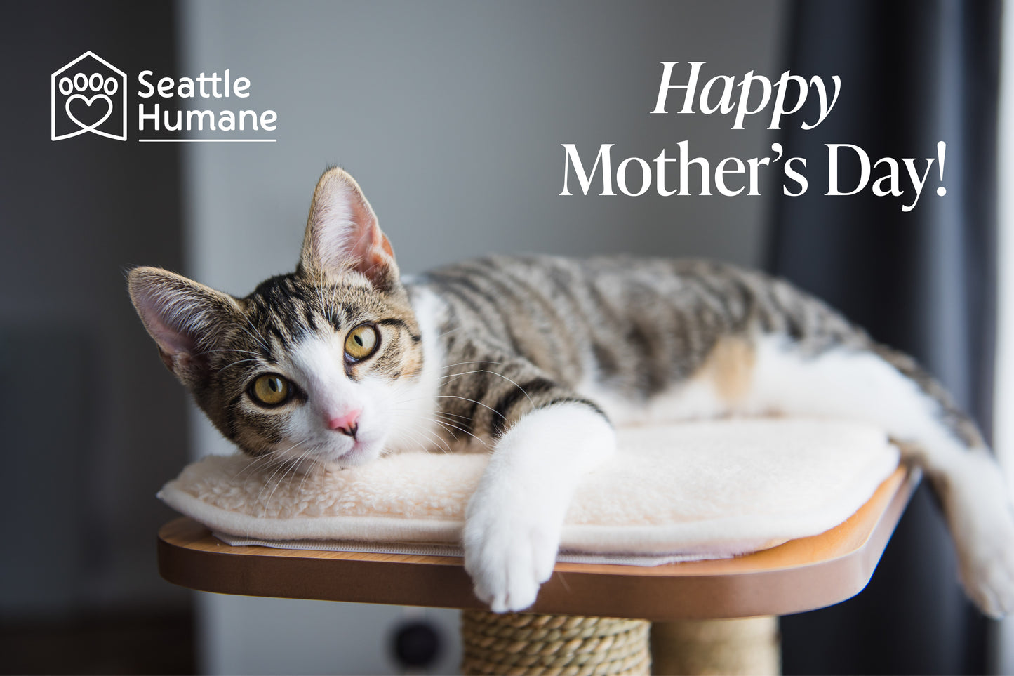 Happy Mother's Day