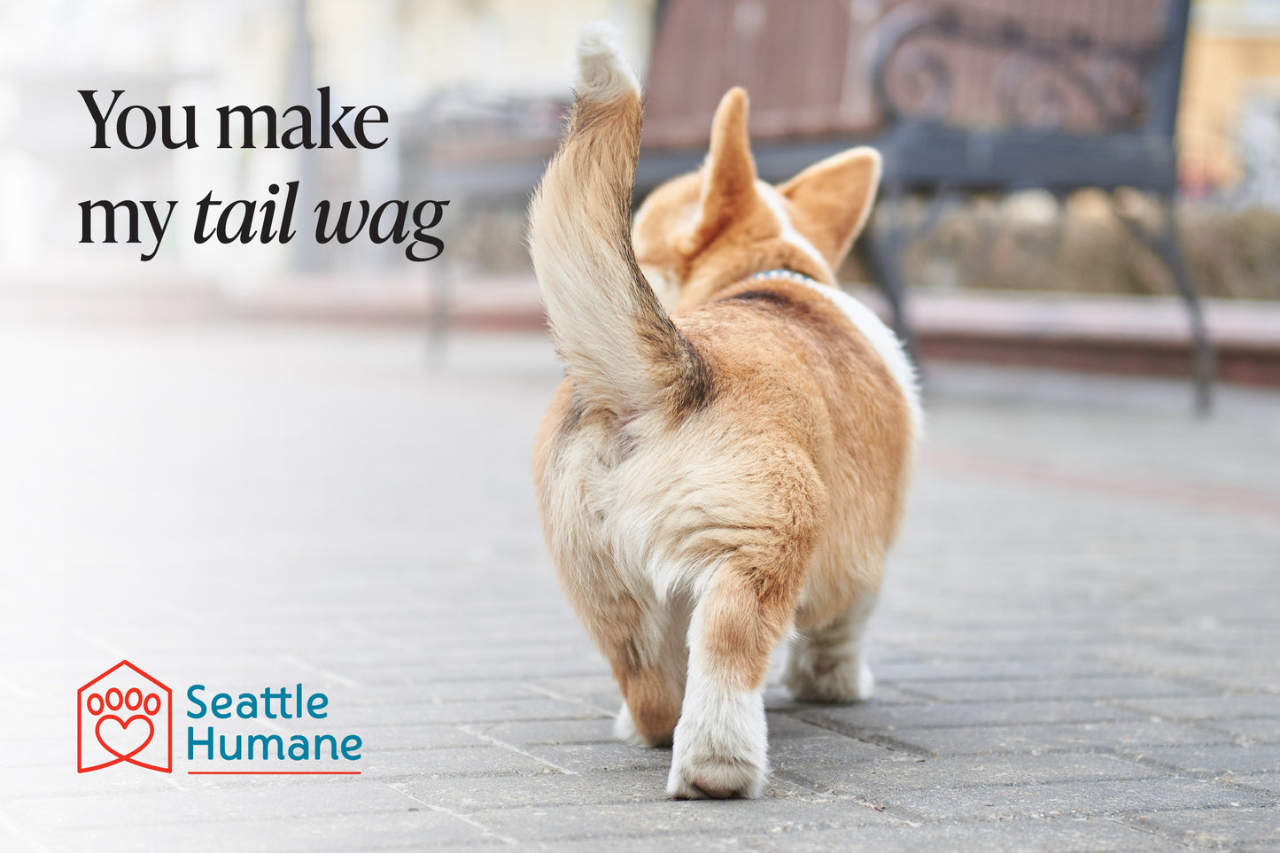 You Make My Tail Wag!