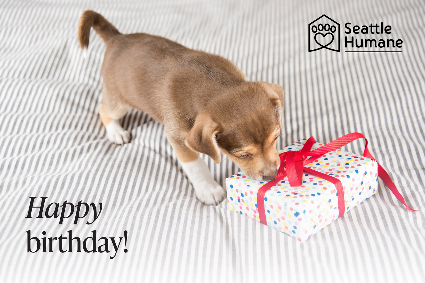 Happy Birthday e-card