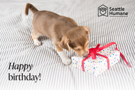 Happy Birthday e-card