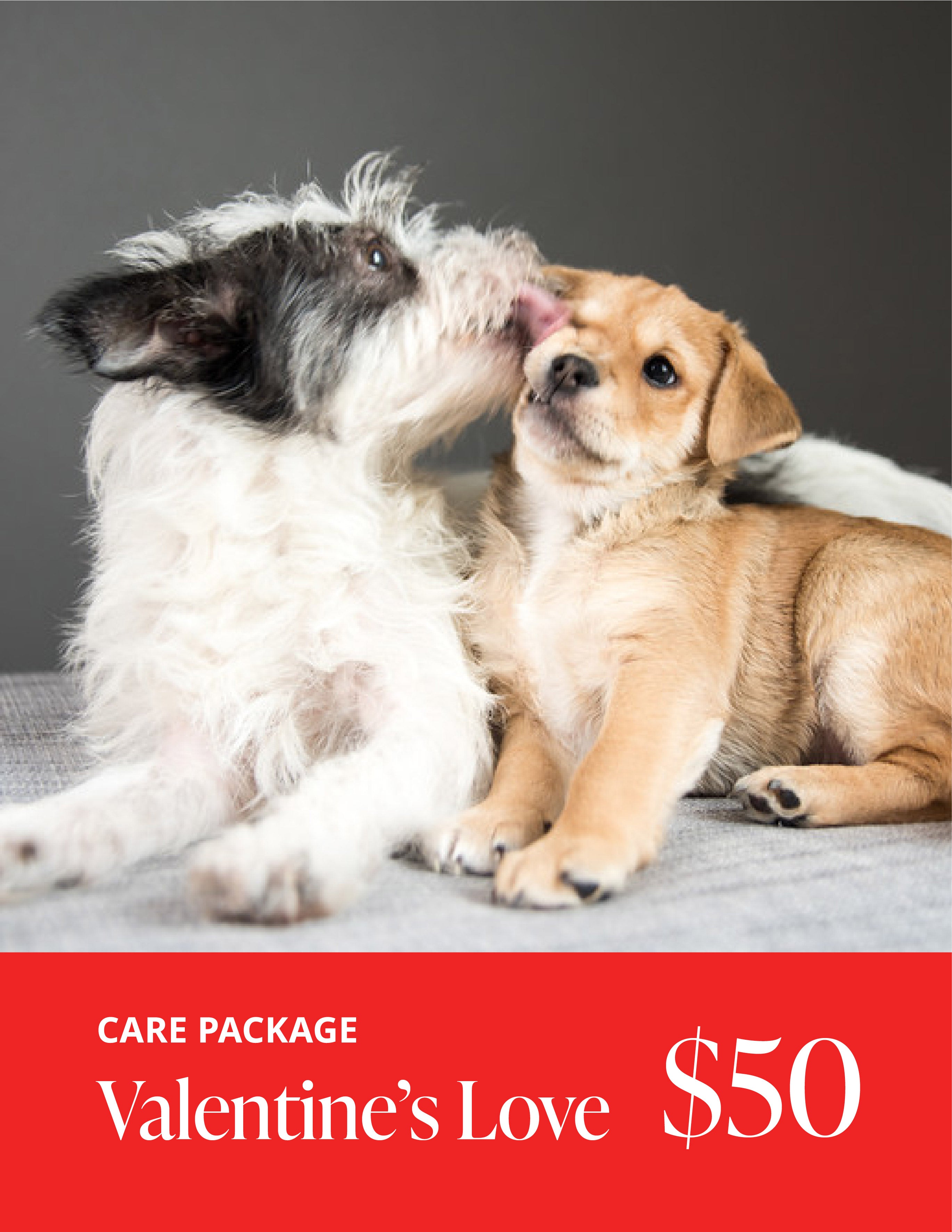 Valentine's Love Care Package – Seattle Humane Store