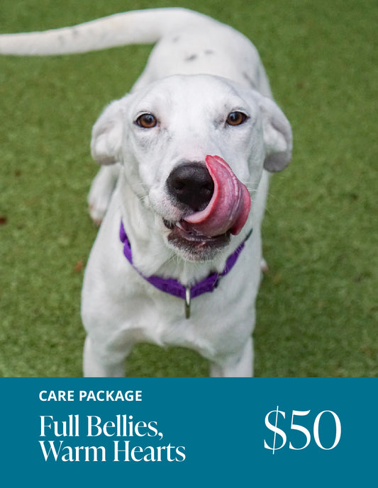 Symbolic Gifts – Seattle Humane Store