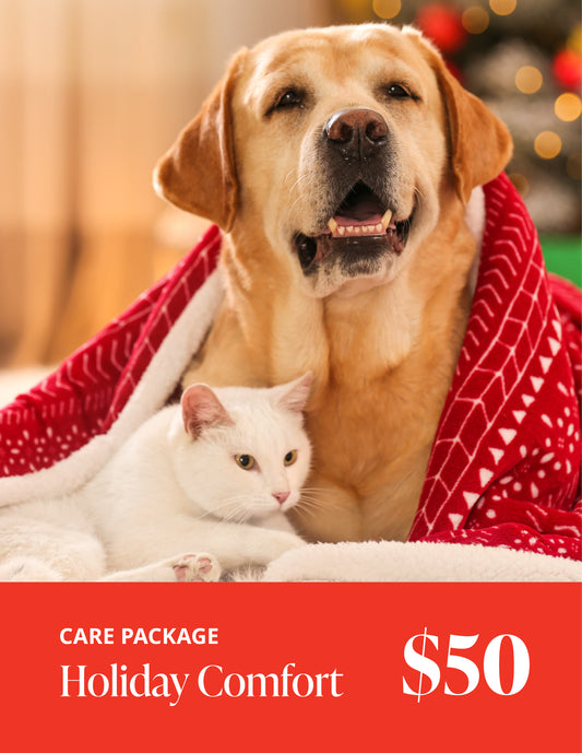 Holiday Comfort Care Package