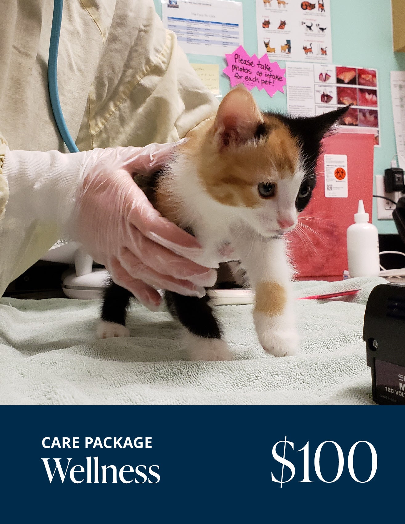 Wellness Care Package – Seattle Humane Store