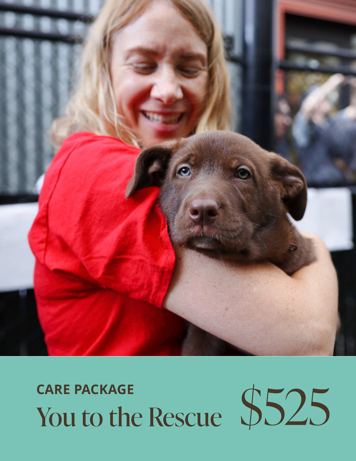 Seattle Rescue You to the Rescue Care Package – Seattle Humane Store