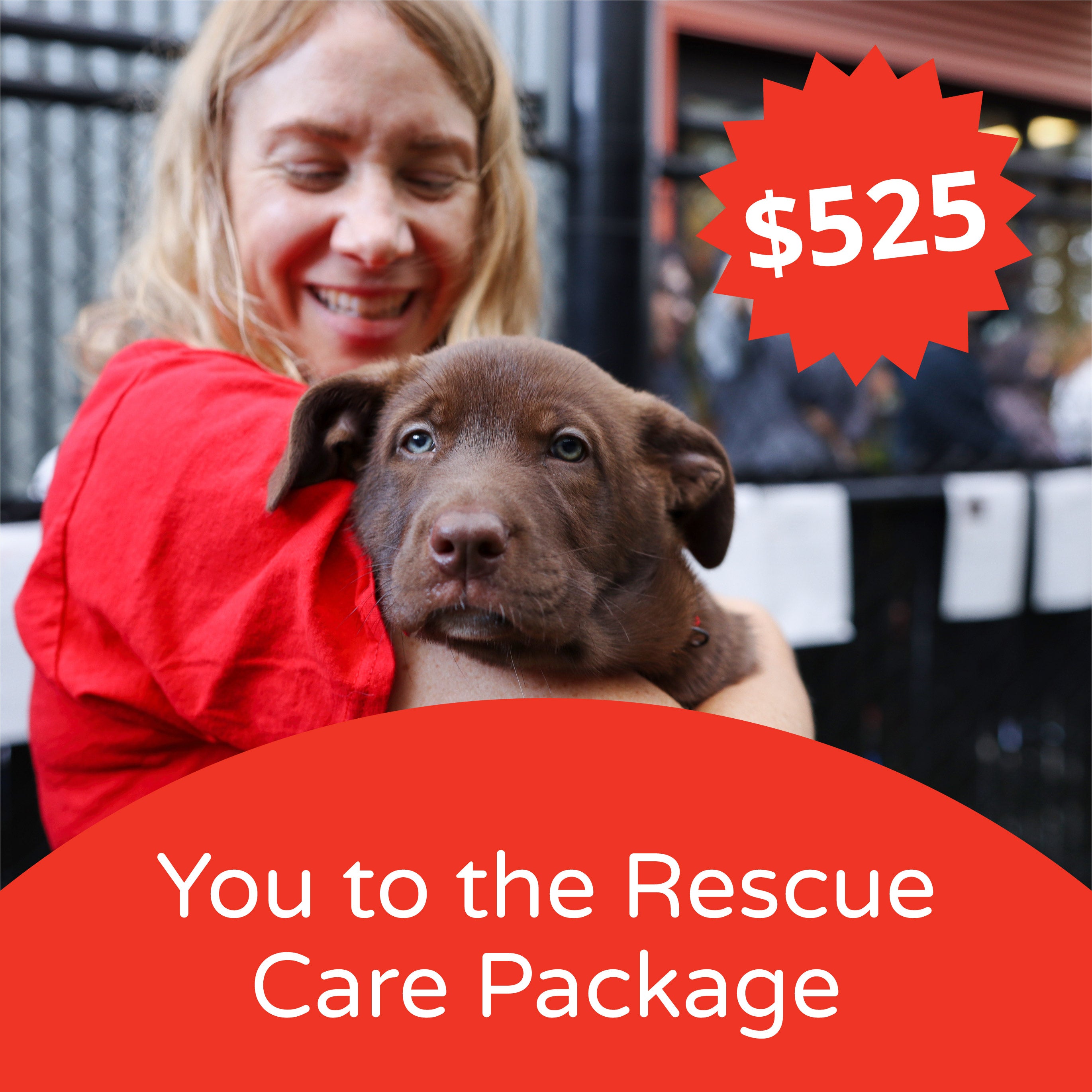 Products – Page 5 – Seattle Humane Store