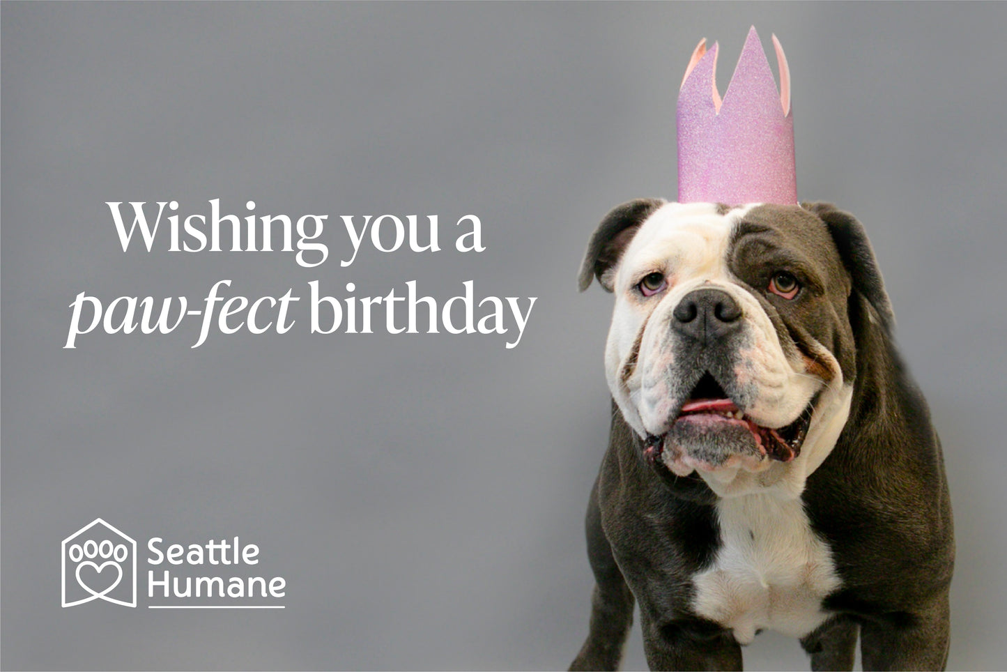 Wishing You a Paw-fect Birthday e-card