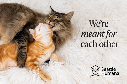 We're Meant For Each Other e-card