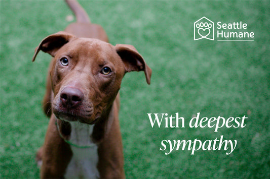 With Deepest Sympathy (dog) e-card