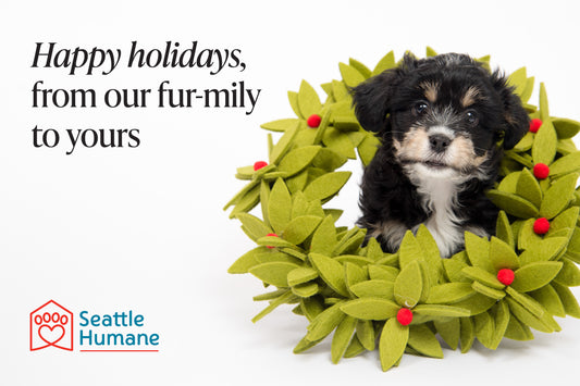 Happy holidays, from our fur-mily to yours